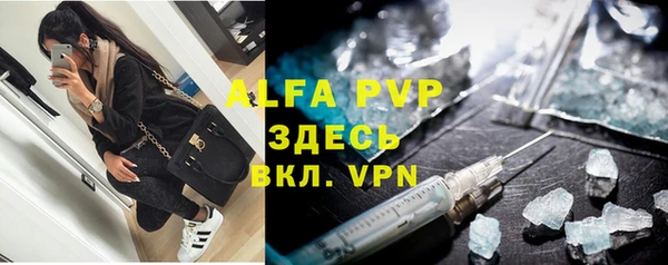 сатива Надым